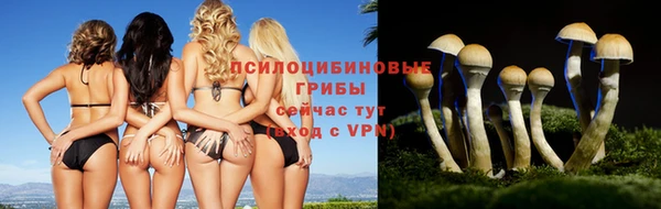 трава Алексеевка