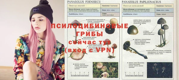 трава Алексеевка